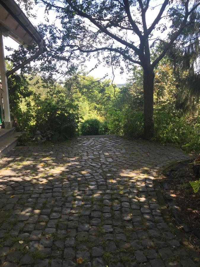 Ferienwohnung Haus Am See Ewighausen المظهر الخارجي الصورة